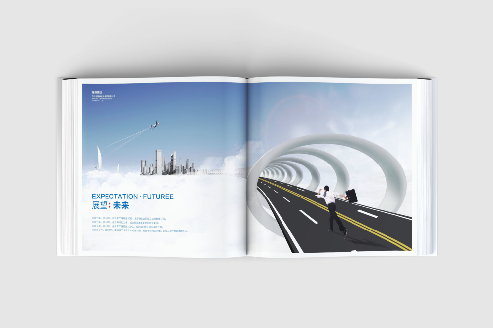 金口河区画册设计